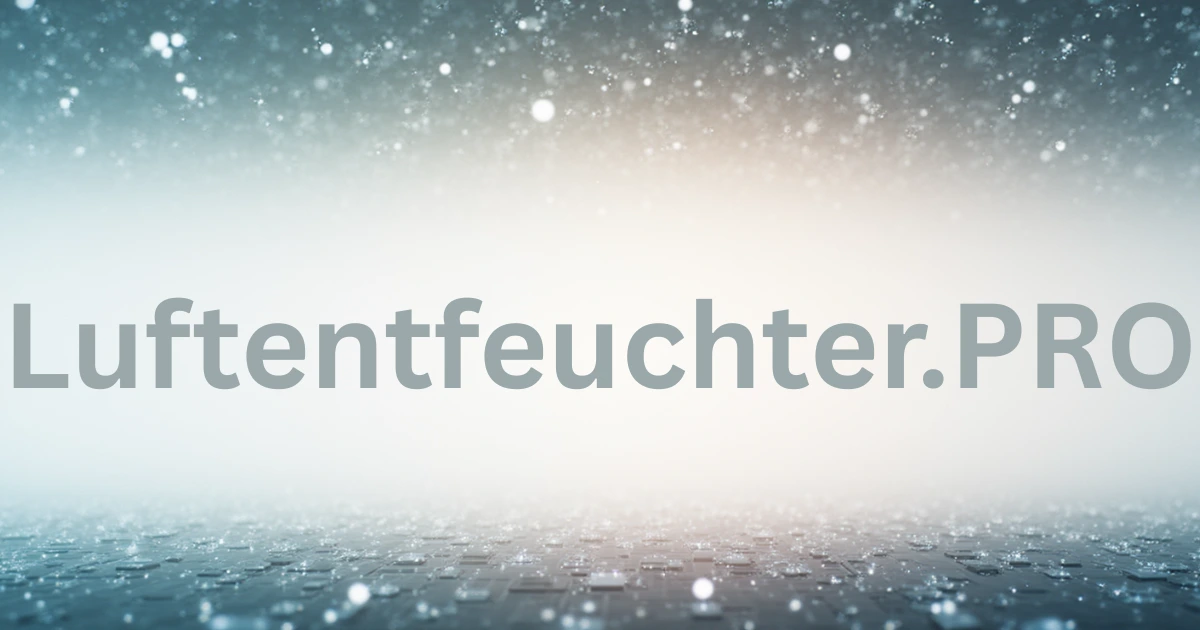 Entfeuchterkissen Clear-to-Go - Wiederverwendbarer Luftentfeuchter für Schränke, Autos und kleine Räume